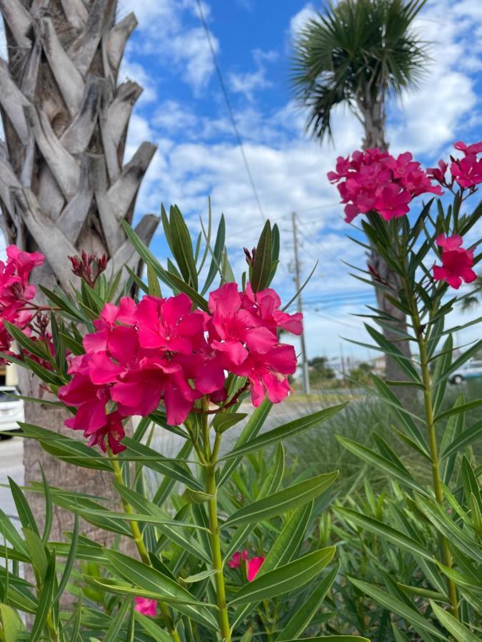 House 3 Blocks To The Beach Panama City Beach Exterior foto